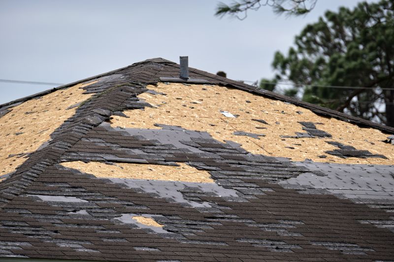 Damaged Shingle Replacement