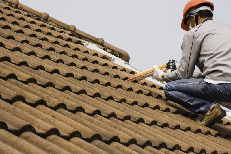 Roof Repair Expertise